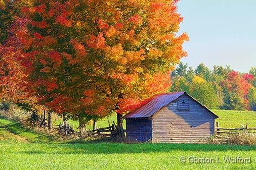 Autumn Barn_28850.jpg - Photographed near Port Elmsley, Ontario, Canada.